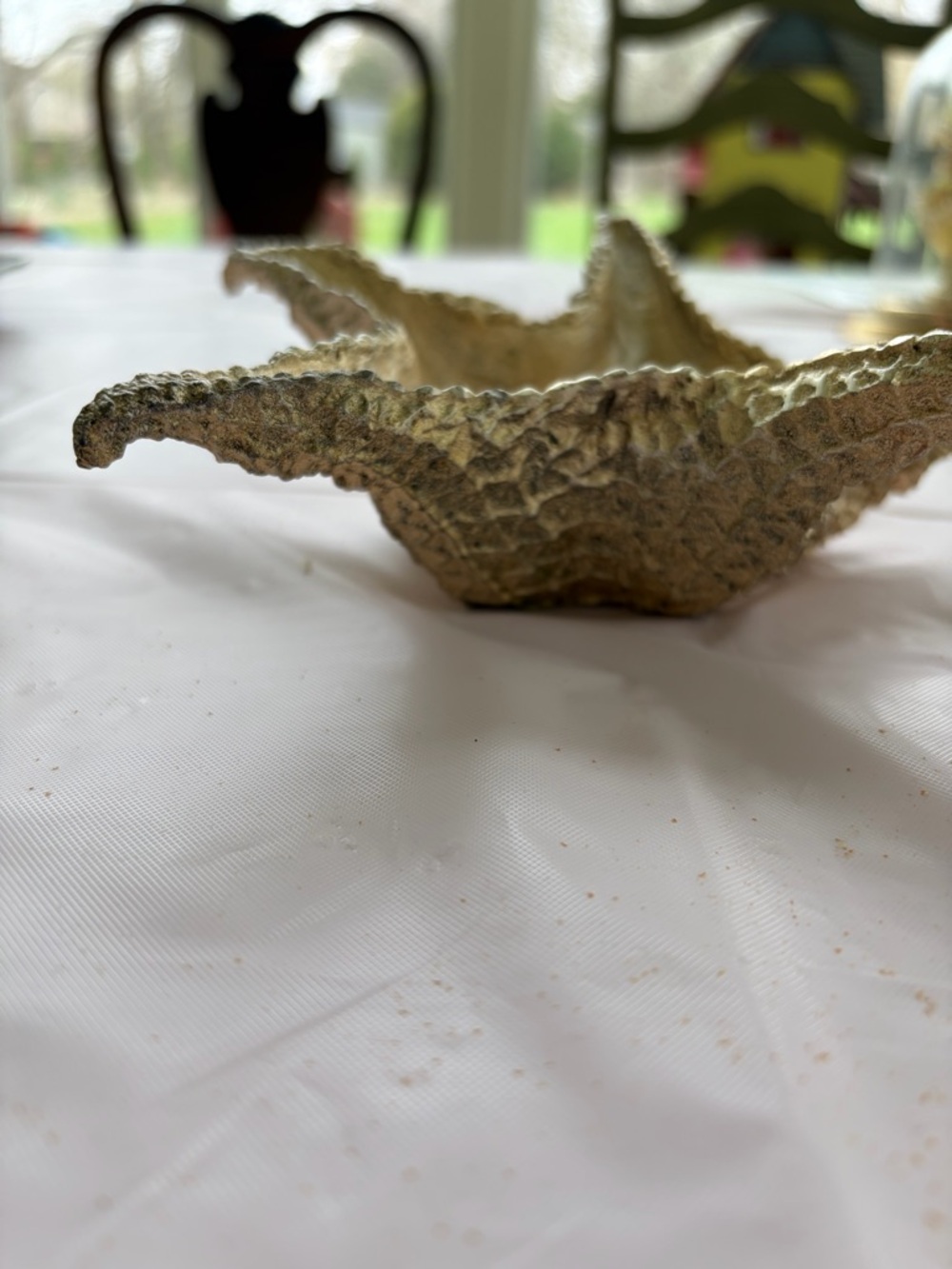 Decorative Starfish Bowl in Gold
